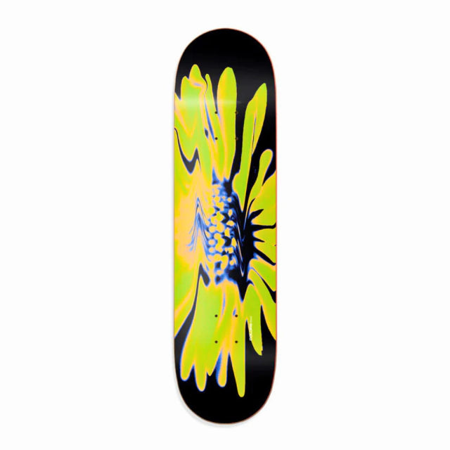 Shape Colors Maple Yellow Flower - 8.0