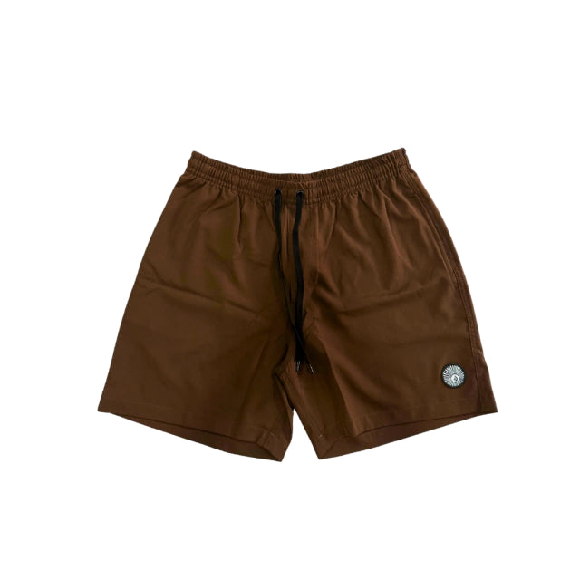 Shorts Volcom Solid Stone