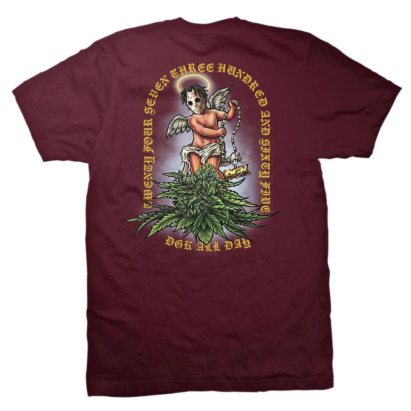 Camiseta DGK Eden