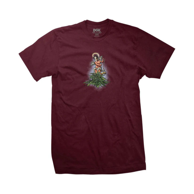 Camiseta DGK Eden