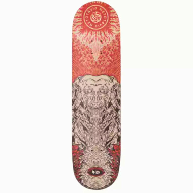 Shape Posso Macaco - Hard Maple Canadense 8.0