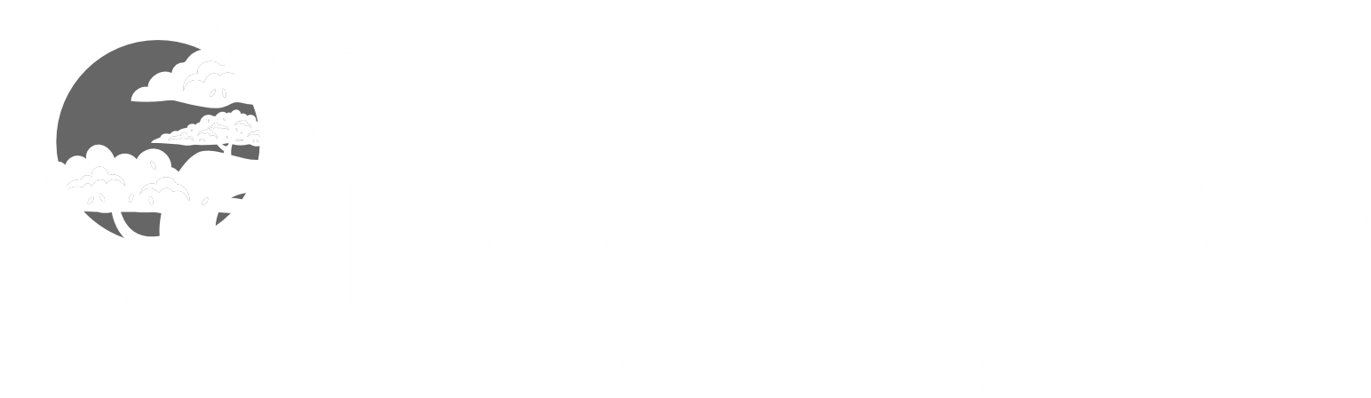 Nattive Skate Shop